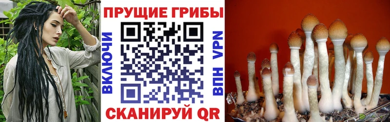 кракен как войти Лакинск Галлюциногенные грибы ЛСД